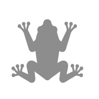 Icone - Amphibiens