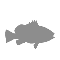 Icone - Poissons et crustacés